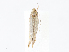 ( - CBG-A07053-D09)  @11 [ ] CreativeCommons - Attribution Share - Alike (2023) CBG Photography Group Centre for Biodiversity Genomics