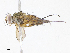  ( - CBG-A08758-D07)  @11 [ ] CreativeCommons - Attribution Share-Alike (2023) CBG Photography Group Centre for Biodiversity Genomics