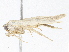  ( - CBG-A08759-E09)  @11 [ ] CreativeCommons - Attribution Share - Alike (2023) CBG Photography Group Centre for Biodiversity Genomics