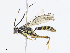  ( - CBG-A08761-C01)  @11 [ ] CreativeCommons - Attribution Share - Alike (2023) CBG Photography Group Centre for Biodiversity Genomics