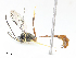  ( - CBG-A08761-G11)  @11 [ ] CreativeCommons - Attribution Share - Alike (2023) CBG Photography Group Centre for Biodiversity Genomics