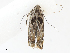  ( - CBG-A08762-B12)  @11 [ ] CreativeCommons - Attribution Share - Alike (2023) CBG Photography Group Centre for Biodiversity Genomics