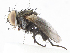  ( - CBG-A10797-A08)  @11 [ ] CreativeCommons - Attribution Share - Alike (2023) CBG Photography Group Centre for Biodiversity Genomics