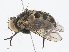  ( - CBG-A10797-B01)  @11 [ ] CreativeCommons - Attribution Share - Alike (2023) CBG Photography Group Centre for Biodiversity Genomics
