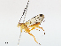  ( - CBG-A08763-G03)  @11 [ ] CreativeCommons - Attribution Share - Alike (2023) CBG Photography Group Centre for Biodiversity Genomics