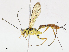  ( - CBG-A08763-G06)  @11 [ ] CreativeCommons - Attribution Share - Alike (2023) CBG Photography Group Centre for Biodiversity Genomics