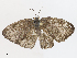  ( - CBG-A08764-B02)  @11 [ ] CreativeCommons - Attribution Share - Alike (2023) CBG Photography Group Centre for Biodiversity Genomics