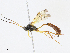  ( - CBG-A08764-D10)  @11 [ ] CreativeCommons - Attribution Share - Alike (2023) CBG Photography Group Centre for Biodiversity Genomics