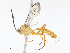 ( - CBG-A08764-G10)  @11 [ ] CreativeCommons - Attribution Share - Alike (2023) CBG Photography Group Centre for Biodiversity Genomics