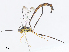  ( - CBG-A10797-E04)  @11 [ ] CreativeCommons - Attribution Share - Alike (2023) CBG Photography Group Centre for Biodiversity Genomics