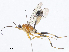  ( - CBG-A10797-E09)  @11 [ ] CreativeCommons - Attribution Share - Alike (2023) CBG Photography Group Centre for Biodiversity Genomics