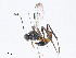  ( - CBG-A10797-E10)  @11 [ ] CreativeCommons - Attribution Share - Alike (2023) CBG Photography Group Centre for Biodiversity Genomics