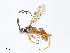  ( - CBG-A10797-E11)  @11 [ ] CreativeCommons - Attribution Share - Alike (2023) CBG Photography Group Centre for Biodiversity Genomics