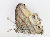  ( - CBG-A10797-F02)  @11 [ ] CreativeCommons - Attribution Share - Alike (2023) CBG Photography Group Centre for Biodiversity Genomics