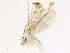  ( - CBG-A10797-G03)  @11 [ ] CreativeCommons - Attribution Share - Alike (2023) CBG Photography Group Centre for Biodiversity Genomics