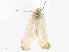  ( - CBG-A10797-G04)  @11 [ ] CreativeCommons - Attribution Share - Alike (2023) CBG Photography Group Centre for Biodiversity Genomics