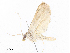  ( - CBG-A10797-H01)  @11 [ ] CreativeCommons - Attribution Share - Alike (2023) CBG Photography Group Centre for Biodiversity Genomics