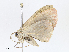  ( - CBG-A10798-E06)  @11 [ ] CreativeCommons - Attribution Share - Alike (2023) CBG Photography Group Centre for Biodiversity Genomics