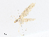  ( - CBG-A10798-F04)  @11 [ ] CreativeCommons - Attribution Share - Alike (2023) CBG Photography Group Centre for Biodiversity Genomics