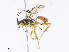  ( - CBG-A10798-F12)  @11 [ ] CreativeCommons - Attribution Share - Alike (2023) CBG Photography Group Centre for Biodiversity Genomics