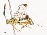  ( - CBG-A51959-B01)  @11 [ ] CreativeCommons - Attribution Share - Alike (2024) CBG Photography Group Centre for Biodiversity Genomics