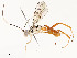  ( - CBG-A51959-B05)  @11 [ ] CreativeCommons - Attribution Share - Alike (2024) CBG Photography Group Centre for Biodiversity Genomics