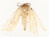  ( - CBG-A53608-B09)  @11 [ ] CreativeCommons - Attribution Share - Alike (2024) CBG Photography Group Centre for Biodiversity Genomics