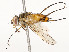  ( - CBG-A53610-F03)  @11 [ ] CreativeCommons - Attribution Share - Alike (2024) CBG Photography Group Centre for Biodiversity Genomics