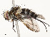  ( - CBG-A53610-F04)  @11 [ ] CreativeCommons - Attribution Share - Alike (2024) CBG Photography Group Centre for Biodiversity Genomics