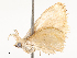  ( - CBG-A53611-E02)  @11 [ ] CreativeCommons - Attribution Share - Alike (2024) CBG Photography Group Centre for Biodiversity Genomics