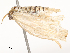  ( - CBG-A53611-E04)  @11 [ ] CreativeCommons - Attribution Share - Alike (2024) CBG Photography Group Centre for Biodiversity Genomics