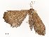  ( - CBG-A53611-E07)  @11 [ ] CreativeCommons - Attribution Share - Alike (2024) CBG Photography Group Centre for Biodiversity Genomics