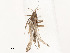  ( - CBG-A53676-A10)  @11 [ ] CreativeCommons - Attribution Share - Alike (2024) CBG Photography Group Centre for Biodiversity Genomics