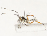  ( - CBG-A54353-A04)  @11 [ ] CreativeCommons - Attribution Share - Alike (2024) CBG Photography Group Centre for Biodiversity Genomics