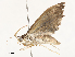 ( - CBG-A54353-D09)  @11 [ ] CreativeCommons - Attribution Share - Alike (2024) CBG Photography Group Centre for Biodiversity Genomics