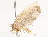  ( - CBG-A54353-G01)  @11 [ ] CreativeCommons - Attribution Share - Alike (2024) CBG Photography Group Centre for Biodiversity Genomics