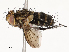  ( - CBG-A54354-H05)  @11 [ ] CreativeCommons - Attribution Share - Alike (2024) CBG Photography Group Centre for Biodiversity Genomics