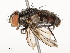  ( - CBG-A54370-F03)  @11 [ ] CreativeCommons - Attribution Share - Alike (2024) CBG Photography Group Centre for Biodiversity Genomics
