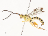  ( - CBG-A54371-F01)  @11 [ ] CreativeCommons - Attribution Share - Alike (2024) CBG Photography Group Centre for Biodiversity Genomics