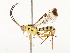  ( - CBG-A54378-B09)  @11 [ ] CreativeCommons - Attribution Share - Alike (2024) CBG Photography Group Centre for Biodiversity Genomics