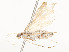  ( - CBG-A54378-D02)  @11 [ ] CreativeCommons - Attribution Share - Alike (2024) CBG Photography Group Centre for Biodiversity Genomics