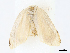  ( - CBG-A10804-E08)  @11 [ ] CreativeCommons - Attribution Share - Alike (2023) CBG Photography Group Centre for Biodiversity Genomics