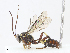  ( - CBG-A13267-E11)  @11 [ ] CreativeCommons - Attribution Share - Alike (2023) CBG Photography Group Centre for Biodiversity Genomics
