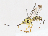  ( - CBG-A13267-F02)  @11 [ ] CreativeCommons - Attribution Share - Alike (2023) CBG Photography Group Centre for Biodiversity Genomics