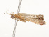  ( - CBG-A51960-F06)  @11 [ ] CreativeCommons - Attribution Share - Alike (2024) CBG Photography Group Centre for Biodiversity Genomics