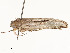  ( - CBG-A54375-B06)  @11 [ ] CreativeCommons - Attribution Share - Alike (2024) CBG Photography Group Centre for Biodiversity Genomics