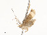  ( - CBG-A54379-B04)  @11 [ ] CreativeCommons - Attribution Share - Alike (2024) CBG Photography Group Centre for Biodiversity Genomics