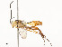  ( - CBG-A54380-D04)  @11 [ ] CreativeCommons - Attribution Share - Alike (2024) CBG Photography Group Centre for Biodiversity Genomics