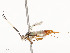  ( - CBG-A54380-E01)  @11 [ ] CreativeCommons - Attribution Share - Alike (2024) CBG Photography Group Centre for Biodiversity Genomics