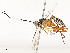  ( - CBG-A54380-E12)  @11 [ ] CreativeCommons - Attribution Share - Alike (2024) CBG Photography Group Centre for Biodiversity Genomics